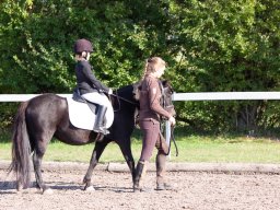 IMG_7231_web